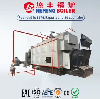 6-Ton Biomass-Fired Chain Grate Steam Bo